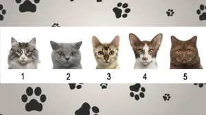 Kuća 1, 2 ili 3? Izaberite onu u kojoj biste živjeli i otkrijte šta to govori o vama