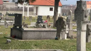 Rane carice Milice: Epidemija ležećih policajaca i grad koji se kreće mic po mic