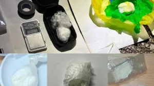 Zenički policajci upali u kuću dilera: Zaplijenjeni spid, ekstazi, digitalne vage…