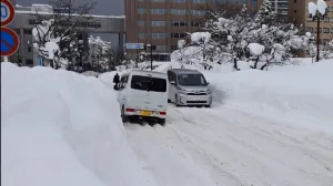(VIDEO) Neobična zima na Floridi: Iguane padaju s drveća zbog naglog zahlađenja