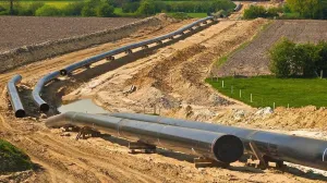 Potpredsjednica FBiH povukla zahtjev za ocjenu ustavnosti Zakona o Južnoj interkonekciji