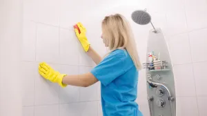 Budite oprezni: Ciklama će vam cvjetati kao luda, ali jedna greška može je uništiti preko noći