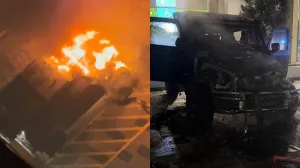 Iz rubrike vjerovali ili ne: Moguće je da Baka Prase bude kandidat na izborima u Srbiji