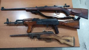 Optužnica za porodično nasilje u BiH: Pretukao suprugu pa se objesio na orah, spasila ga policija