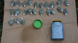 (FOTO) Odjel za droge MUP-a TK upao u kuću dilera: Zaplijenjeni narkotici, pištolji i bomba