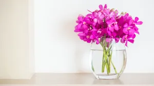 Ljudi masovno pale lovorov list u kući: Tvrde da se dešava čudo – sreća dobija novi oblik Ljudi masovno pale lovorov list u kući: Tvrde da se dešava čudo – sreća dobija novi oblik