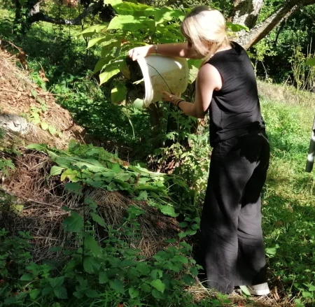 Vrtlarenje kao umjetnost i meditacija: Izreke koje hrane dušu i sjeme sreće