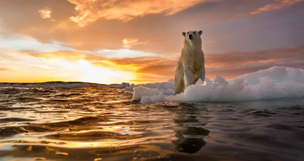 Okeani na ivici izdržljivosti: Alarmantan pokazatelj dubine klimatskih promjena