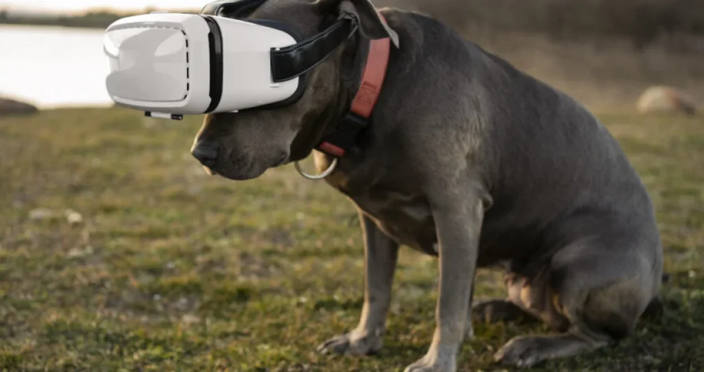 Ogrlica koja prevodi ljudski govor psima stigla u prodaju i košta papreno, ali da li je ovo čista glupost?