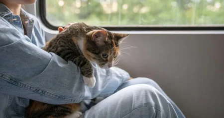 Neobičan putnik ušao u voz u Njemačkoj bez karte