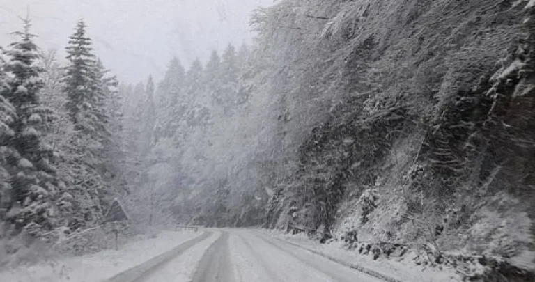 Snijeg otežava saobraćaj: Potpuno obustavljen saobraćaj na magistralnom putu Sarajevo – Foča Snijeg otežava saobraćaj: Potpuno obustavljen saobraćaj na magistralnom putu Sarajevo – Foča