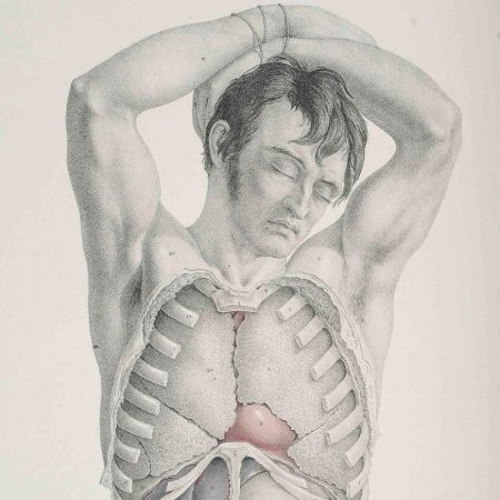 Šokantna istorija anatomskog slikarstva