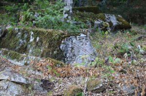 Univerzitet u Sarajevu prvi put koordinator međunarodnog projekta zaštite stećaka