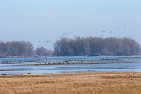 WMO: Klima na Zemlji sve više gubi ravnotežu