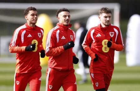 BiH protiv Walesa večeras u Cardiffu u borbi za SP: Ko ima skuplje igrače i gdje leži snaga timova