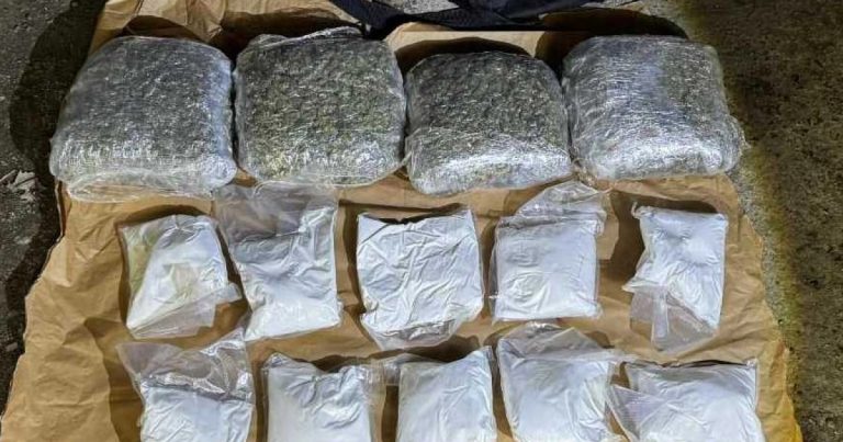 Gdje to završava i kako se uništava zaplijenjena droga u Bosni i Hercegovini?