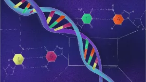 Prirodni superračunar: Mozak troši energije koliko i obični monitor Prirodni superračunar: Mozak troši energije koliko i obični monitor