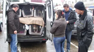 Preko 600.000 vjernika napustilo crkve u Njemačkoj