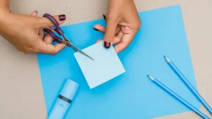 Napravite svoju cvjetnu oazu: Ovih pet biljaka će uljepšati vaš balkon