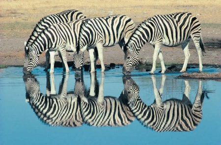 ABECEDA FIZIKE #25: Zrcala – naprave koje odbijaju svjetlost