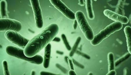 Svjetski dan borbe protiv tuberkuloze – Potrebno snažno liderstvo država, ulaganja i inovacije