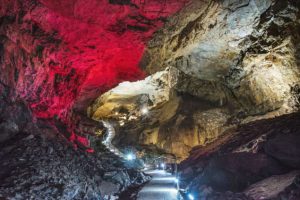 U Vjetrenici divlje vrste žive u savršenoj ravnoteži tame, vlage i tišine