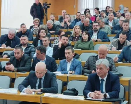 NŽZ: Traži se odgovornost i reakcija donosilaca odluka, BiH ne smije ostati bez svog čelika