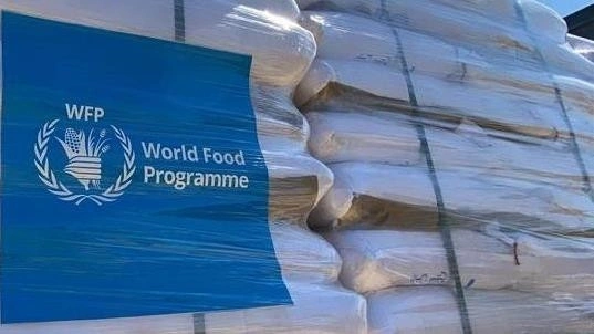 WFP: Globalni lanac snabdijevanja hranom u najvećoj krizi od pandemije WFP: Globalni lanac snabdijevanja hranom u najvećoj krizi od pandemije