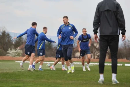 Nogometaši BiH danas putuju u Kardif, u 10 sati službeni trening na Koševu