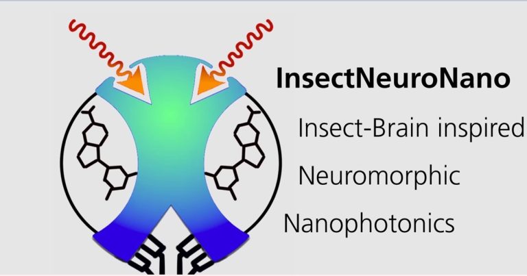 Pčelinji mozgovi i računalni čipovi