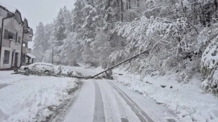 Snijeg paralizovao elektro-mrežu u Krajini, desetine hiljada bez struje