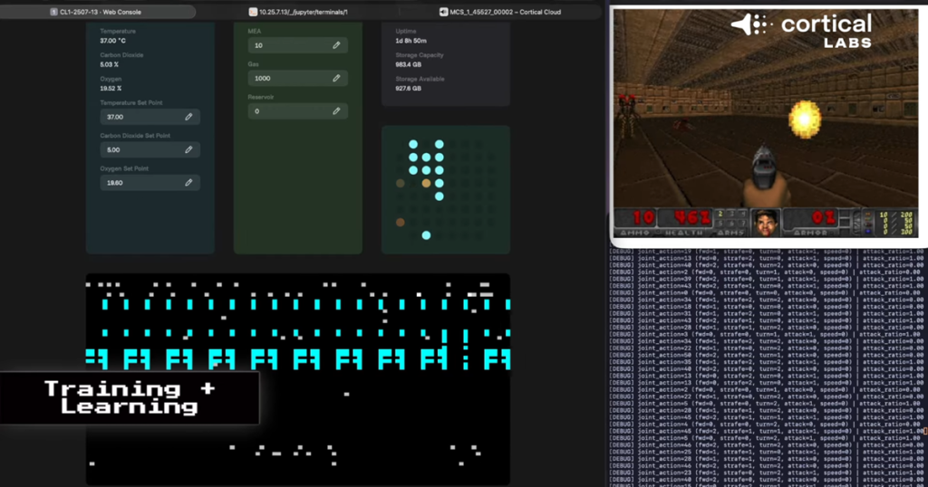 Živi neuroni na silicijskom čipu uspješno upravljaju simulacijom videoigre Doom