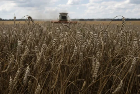 Izrael poslije protesta Zelenskog zabranio istovar žitarica s ruskog broda