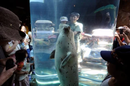 Radnik zoološkog vrta u Japanu osumnjičen da je tijelo supruge spalio u peći