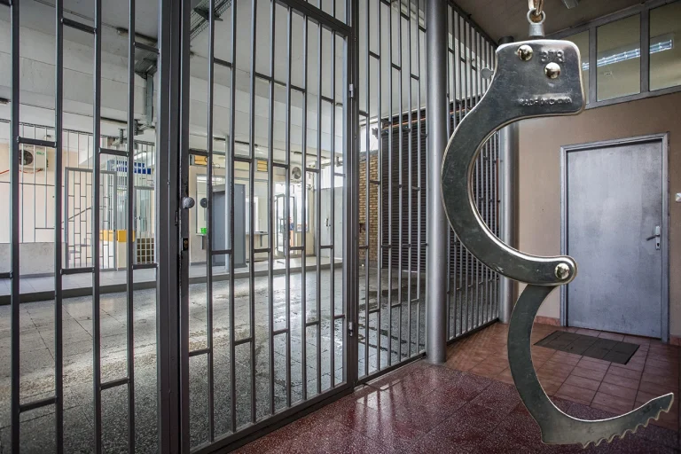 Predsjednička milost za presuđeni kriminal