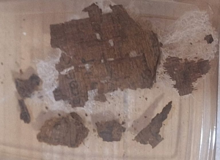 Arheolozi u drevnoj egipatskoj mumiji pronašli primjerak Homerove Ilijade