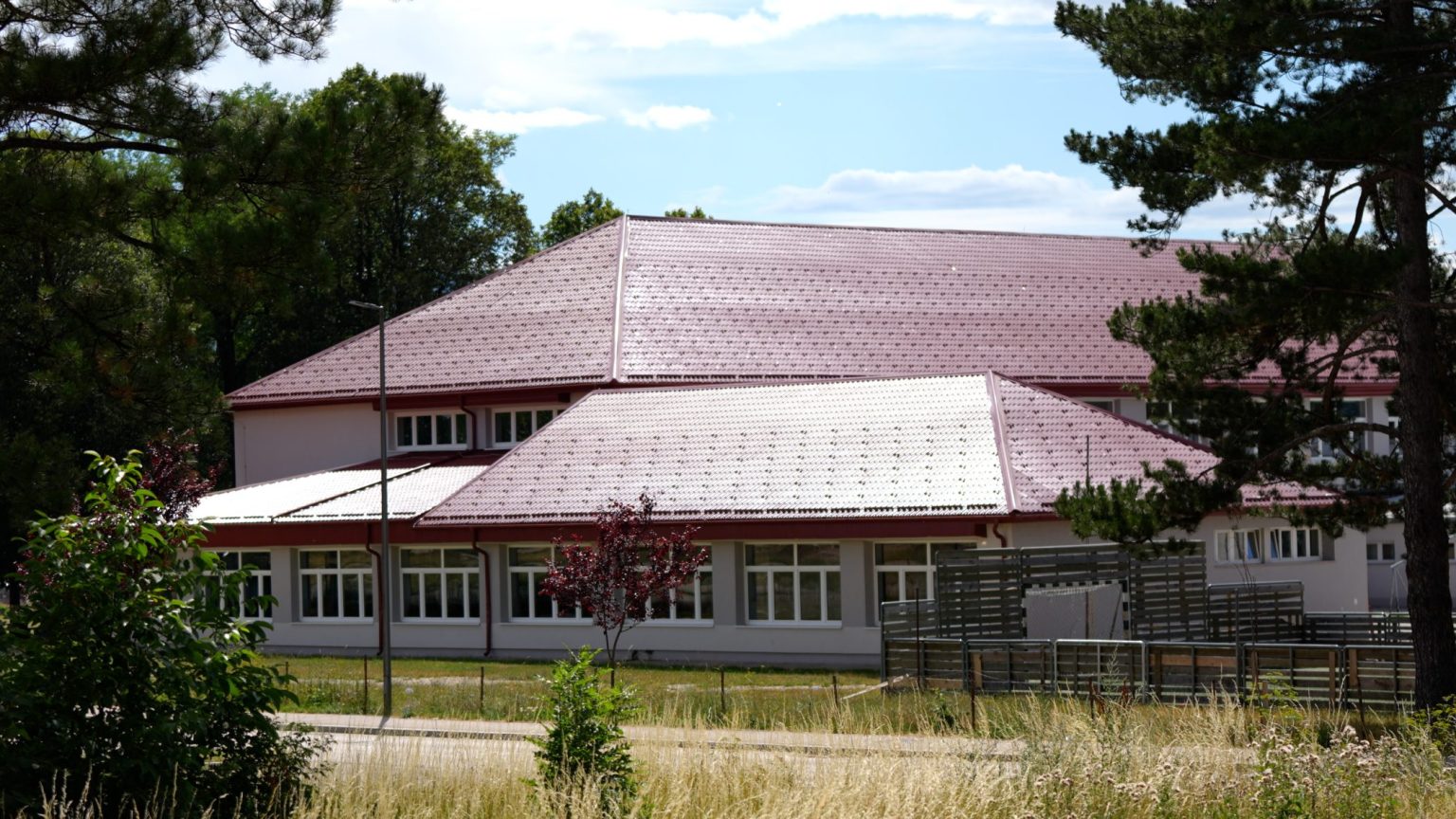 Ibrahimović: Kad te sruše na pod, ne znaš ko sve udara