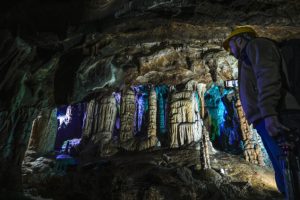 Pećina Orlovača, prirodni dragulj BiH: Dom endemskih vrsta i fosila starijih više od 16.000 godina