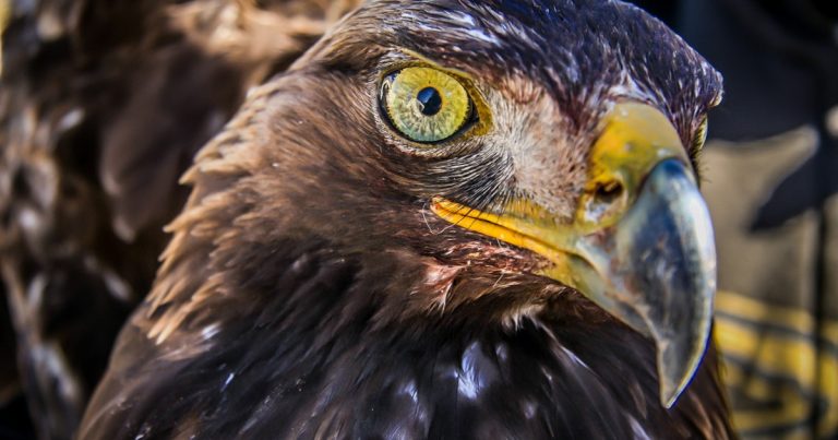 ABECEDA FIZIKE #26: Leće – naprave koje lome svjetlost ABECEDA FIZIKE #26: Leće – naprave koje lome svjetlost