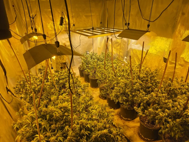 U akciji Aries uhapšena 31-godišnjakinja, pronađeno pet laboratorija