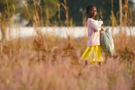 U Gani spašeno 305 građana iz Zapadne Afrike, od kojih 113 djece, u operaciji protiv trgovine ljudima U Gani spašeno 305 građana iz Zapadne Afrike, od kojih 113 djece, u operaciji protiv trgovine ljudima