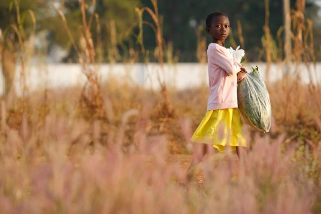 U Gani spašeno 305 građana iz Zapadne Afrike, od kojih 113 djece, u operaciji protiv trgovine ljudima U Gani spašeno 305 građana iz Zapadne Afrike, od kojih 113 djece, u operaciji protiv trgovine ljudima