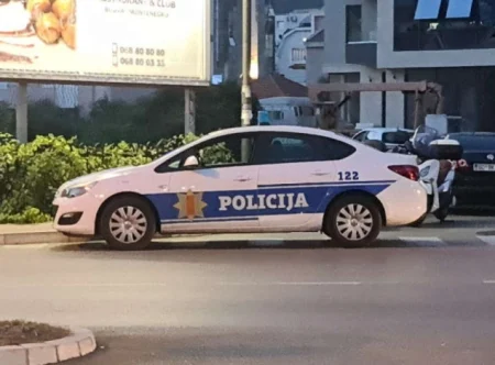 Trostruko ubojstvo u Podgorici: Policija traga za počiniteljem