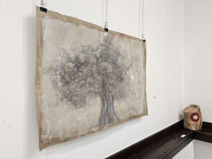 Izložba inspirirana 1.500 godina starom maslinom otvorena u Sarajevu