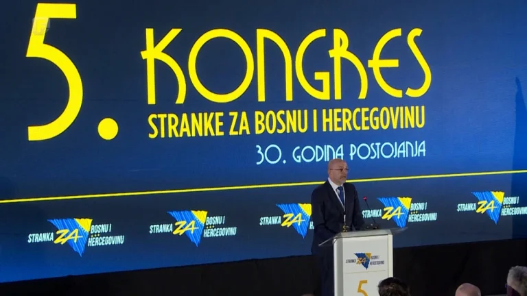 Semir Efendić ponovo izabran za predsjednika Stranke za BiH