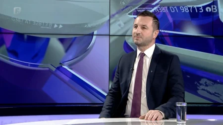 U Dnevniku D Semir Efendić, predsjednik Stranke za BiH