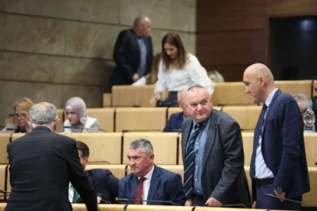 U toku vanredna sjednica Predstavničkog doma PFBiH, predložena tema je zakon o Južnoj interkonekciji U toku vanredna sjednica Predstavničkog doma PFBiH, predložena tema je zakon o Južnoj interkonekciji