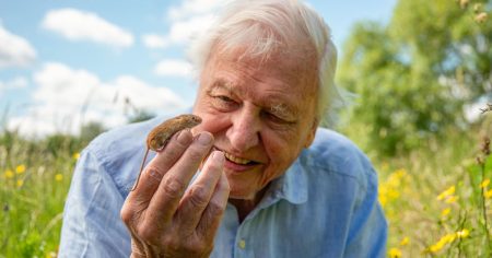 Zagreb slavi 100 godina Davida Attenborougha: spektakl u muzeju, najbolji filmovi i torta u atriju