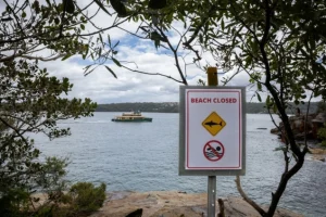 Ajkula napala muškarca kod australskog ostrva Rottnest