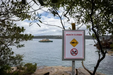 Ajkula napala muškarca kod australskog ostrva Rottnest